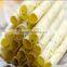 full automatic Stainless Steel egg roll making machine
