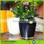 decoration garden home cheap glass flower pots