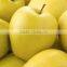 Chinese Fresh Sweet Golden Delicious Apple With Good Quality