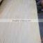 Rotary Cut Natural Basswood Veneer for Plywood