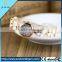 Four Leaf Clover Fashion Lady Watch, Korea Style Popular Waterproof Wrist Watch