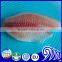 Red Tilapia Fillet For Sale