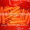 Supplying Good Quality Red Carrot