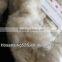 Chinese Wool Noil, 21.5mic, 20-40mm, Raw White Color, VM<5%,nice Quality