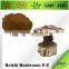 BNP Natural TOP Quality Reishi Spore Powder
