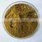 GMP Certified Factory Supply Natural Dendrobium Extract