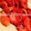 dehydrated strawberry fruit /freeze dried fruit/hot sale fruit snacks