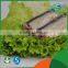 XINHAI Deap Sea Wild Mackerel Canning Fish Wholesale