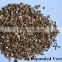 Low dust Coarse Bulk Golden Expanded Vermiculite for Organic Gardening planting