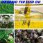 100% Wild, Pure and Organic Green Tea Seed Oil (Top Manufacturer)