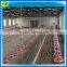 Automatic broiler Pan Feeding System for chickens