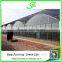 Venlo greenhouse with alternating vents