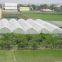 18x14 mesh grey or black protect the windows fiberglass window screen