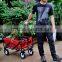 Picnic/Shopping Cart