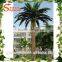 Songtao wholesale artificial date palm tree customized fake date palm tree fiberglass artificial date palm tree