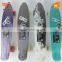HFCW07 Professional accept OEM brand Mini Cruiser fish skateboard