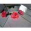 1.3-6mm Two Layers of Waterproof Paint Silver Mirror Glass with CE&ISO9001