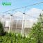 High Quality &Low Cost Greenhouse Clear Polycarbonate Greenhouse