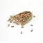 New arrival organic borlotti bean market price