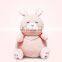 Cute Fun Cute Rabbit Doll Animal Stuffed Weighted Plush Toys