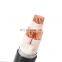 16mm2 25mm2 35mm2 70mm2 XLPE Insulated Power Cable 3Core 6mm VV YJV VV22 YJV22