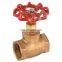 Lead Free High Quality Brass Water Gate Valve with BSP for water