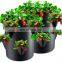 Heavy Duty Strawberry Garden Vegetable Potato Fabric DIY Planter Plant 10 Dots 7 Grow Bags 5 Gallon