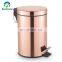 mini lixeira pedal bin 15L 12L stainless steel waste bin trash can household catalog manufacturer