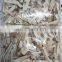Good price IQF frozen todarodes squid strip