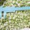 Sinocharm A Grade L2-3CM IQF Celery Cut Frozen Celery