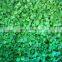 IQF Frozen Green Pepper Dice