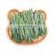 Frozen Fresh Green Bean IQF Bean Whole