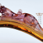 Colored Glaze Ruyi With Ingot Dragon Chinese Feng Shui Ornament Gift