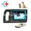 HC-A039V Easy Operation handheld vet medical equipment veterinary ultrasound scanner