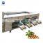 automatic garlic onion potatoes pepper grading machine longan fruit sorting machine