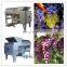 Grape seeds separator/Industrial automatic electric grape crusher