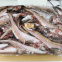 Frozen Alaska pollock，pollock fish, pollock 100-300,300-500g
