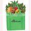 ECO-friendly Colorful Fruit Shopping Bag idea product 2015
