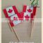 custom paper printing toothpick flag