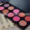 Cosmetics make up makeup professional cheap mineral 10 color blush palette