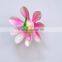 3.5 inch Dragonfly and Butterfly on Lotus Plastic Flowers Fridge Magnet