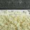 Panko Bread Crumbs Processing Machinery