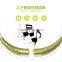 Gym bluetooth sports headphone on neck