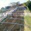 Cheap single span plastic greenhouse for agriculture
