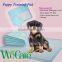 Super Absorbent Disposable Puppty Training Pads