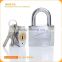 Factory Price New Product Cheap Chrome Plated Computer Key Iron Padlock