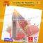 568g Yilin factory branded tomato ketchup with European quality