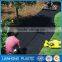 China Factory Wholesale 100% Virgin PP Plastic Agriculture Weed Mat