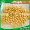 Factory wholesale canned chick peas