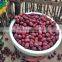 China New Crop Red Adzuki Bean